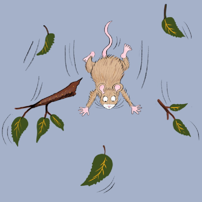 Die kleine Maus